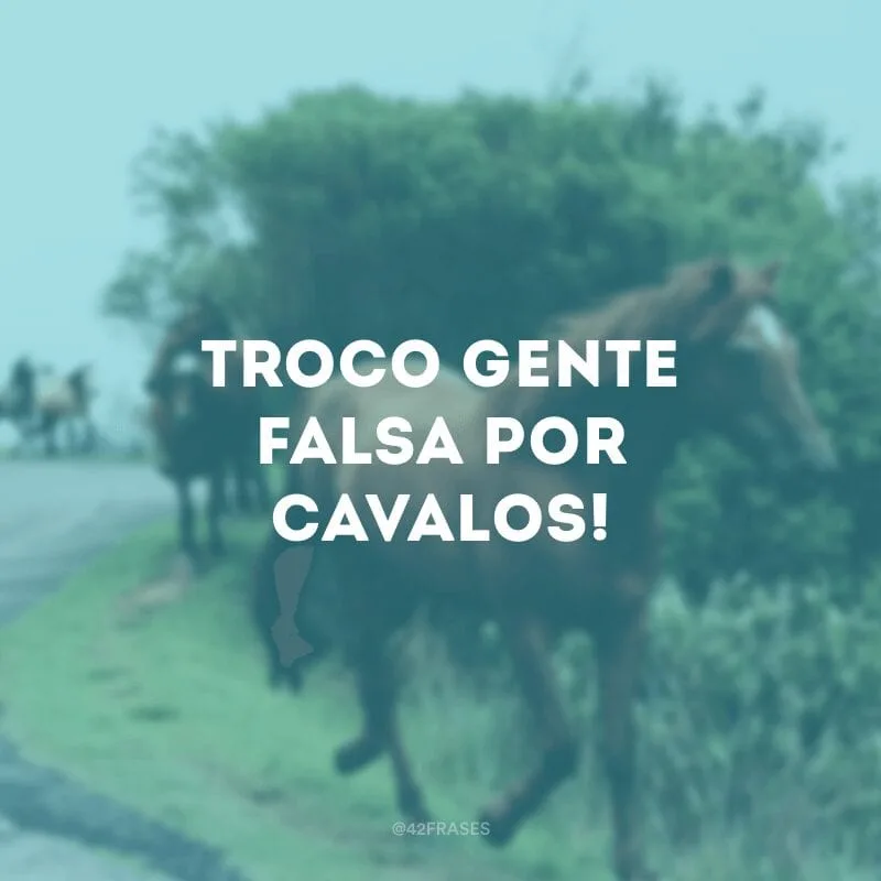 Troco gente falsa por cavalos!