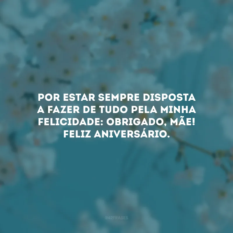 Por estar sempre disposta a fazer de tudo pela minha felicidade: obrigado, mãe! Feliz aniversário.
