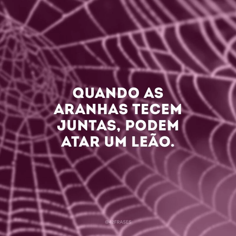Quando as aranhas tecem juntas, podem atar um leão.