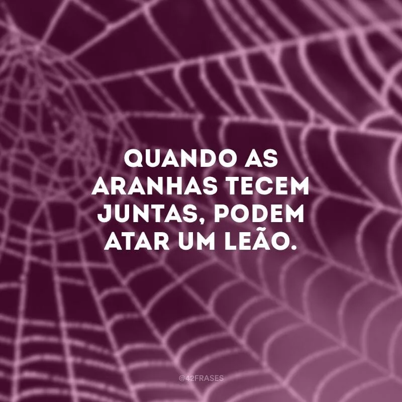 Quando as aranhas tecem juntas, podem atar um leão.