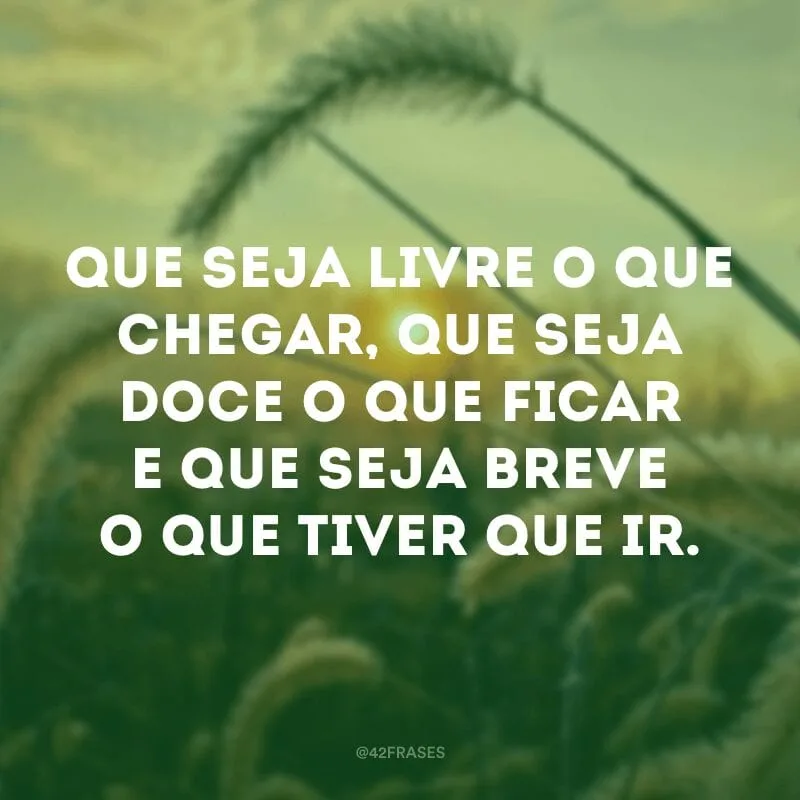 Que seja livre o que chegar, que seja doce o que ficar e que seja breve o que tiver que ir.