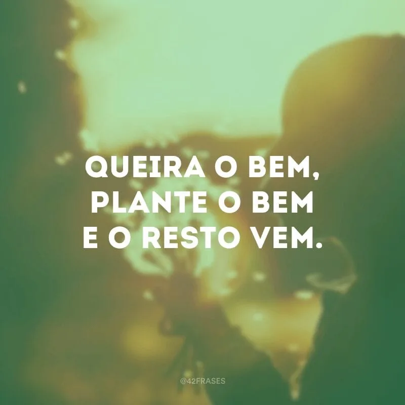 Queira o bem, plante o bem e o resto vem.