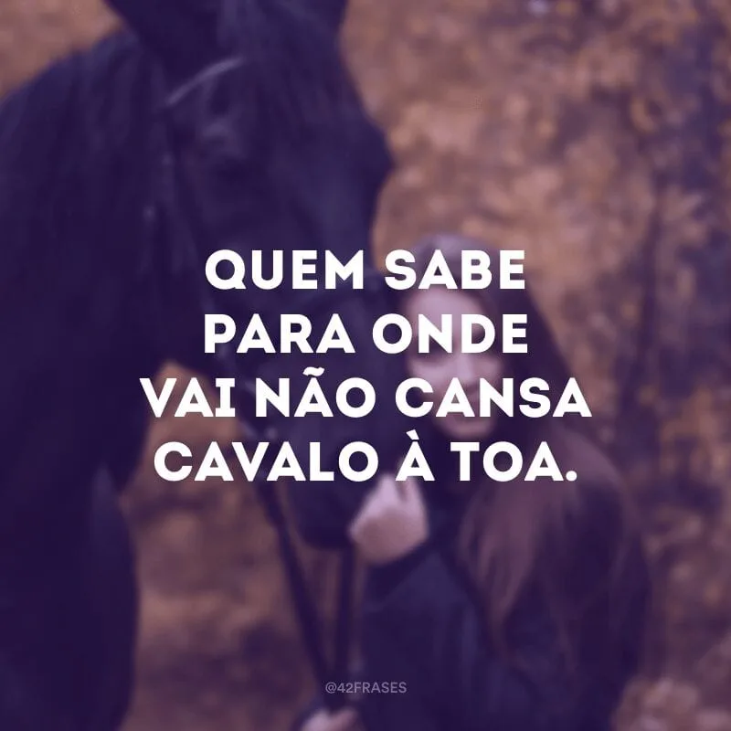 Quem sabe para onde vai não cansa cavalo à toa.