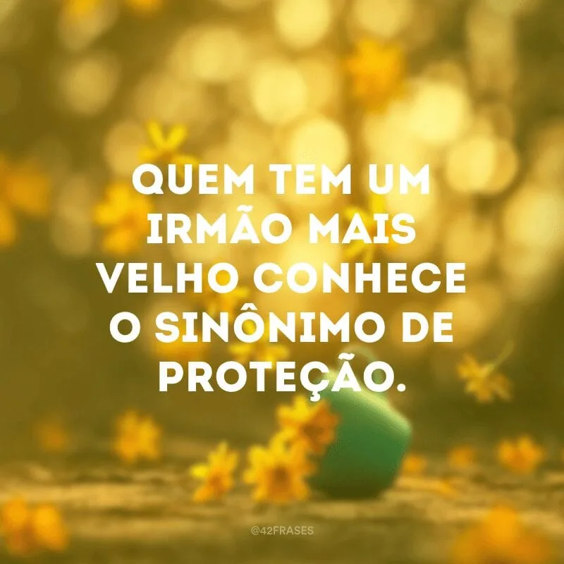 Quem tem um irmão mais velho conhece o sinônimo de proteção.