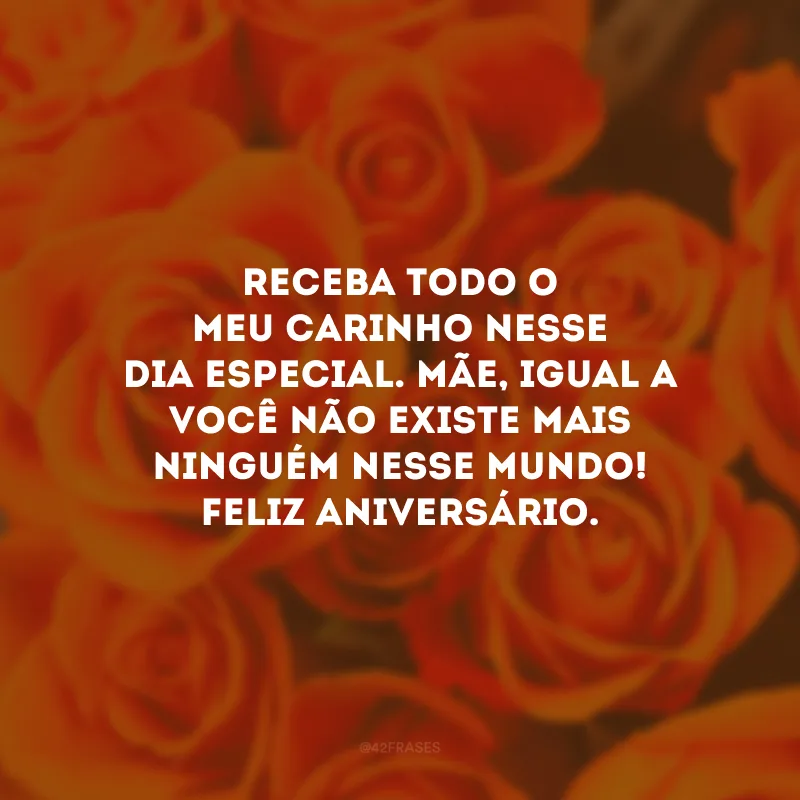 Receba todo o meu carinho nesse dia especial. Mãe, igual a você não existe mais ninguém nesse mundo! Feliz aniversário.