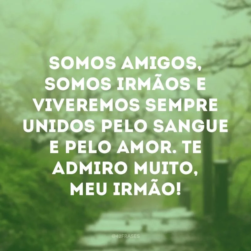 Somos amigos, somos irmãos e viveremos sempre unidos pelo sangue e pelo amor. Te admiro muito, meu irmão!