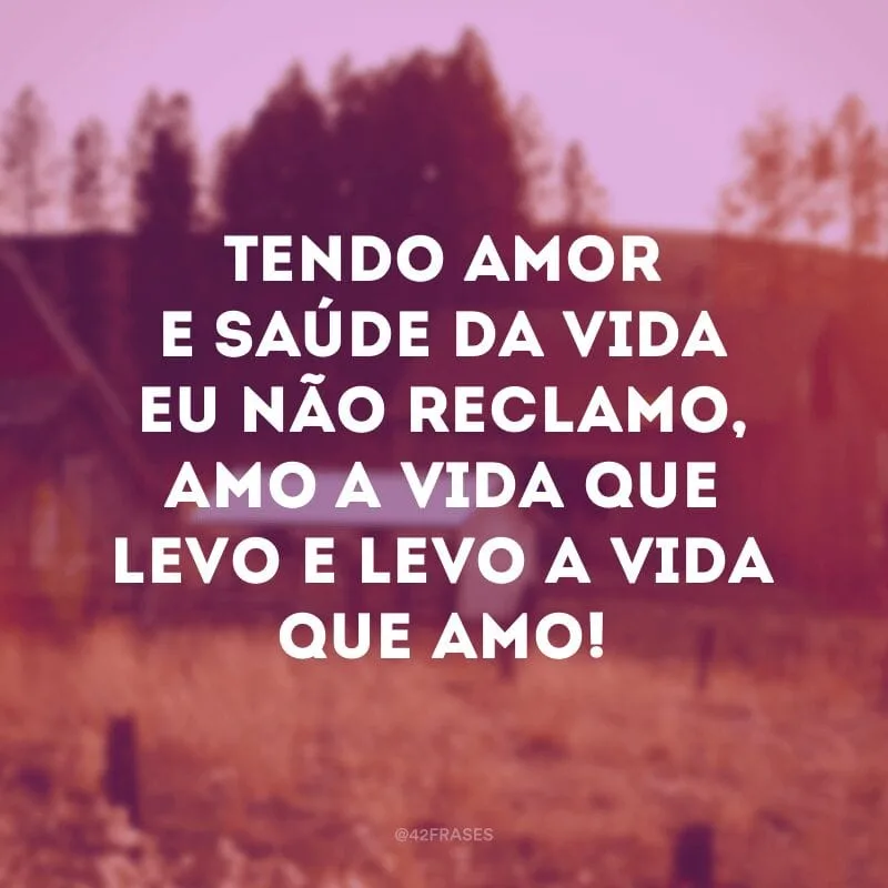 Tendo amor e saúde da vida eu não reclamo, amo a vida que levo e levo a vida que amo! 