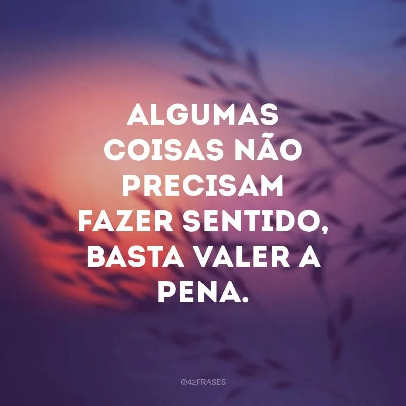 Algumas coisas não precisam fazer sentido, basta valer a pena.