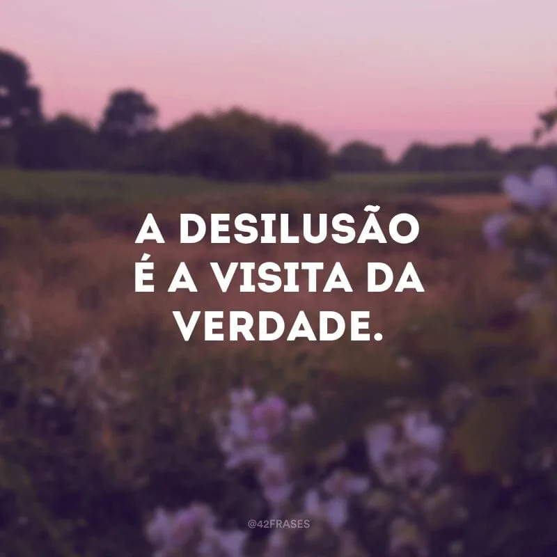A desilusão é a visita da verdade.