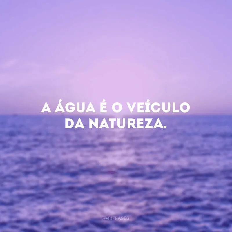 A água é o veículo da natureza. 