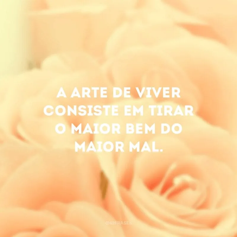 A arte de viver consiste em tirar o maior bem do maior mal.