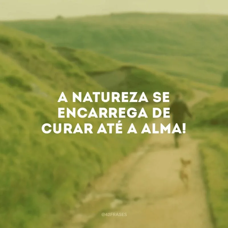 A natureza se encarrega de curar até a alma! 