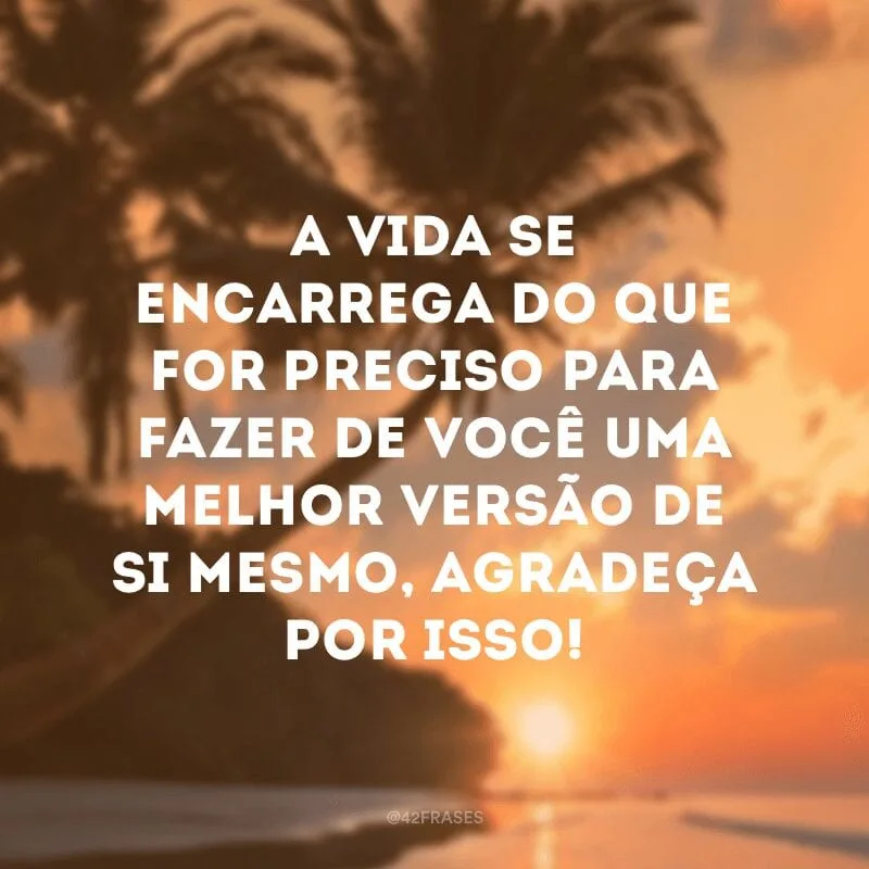 A vida se encarrega do que for preciso para fazer de você uma melhor versão de si mesmo, agradeça por isso!