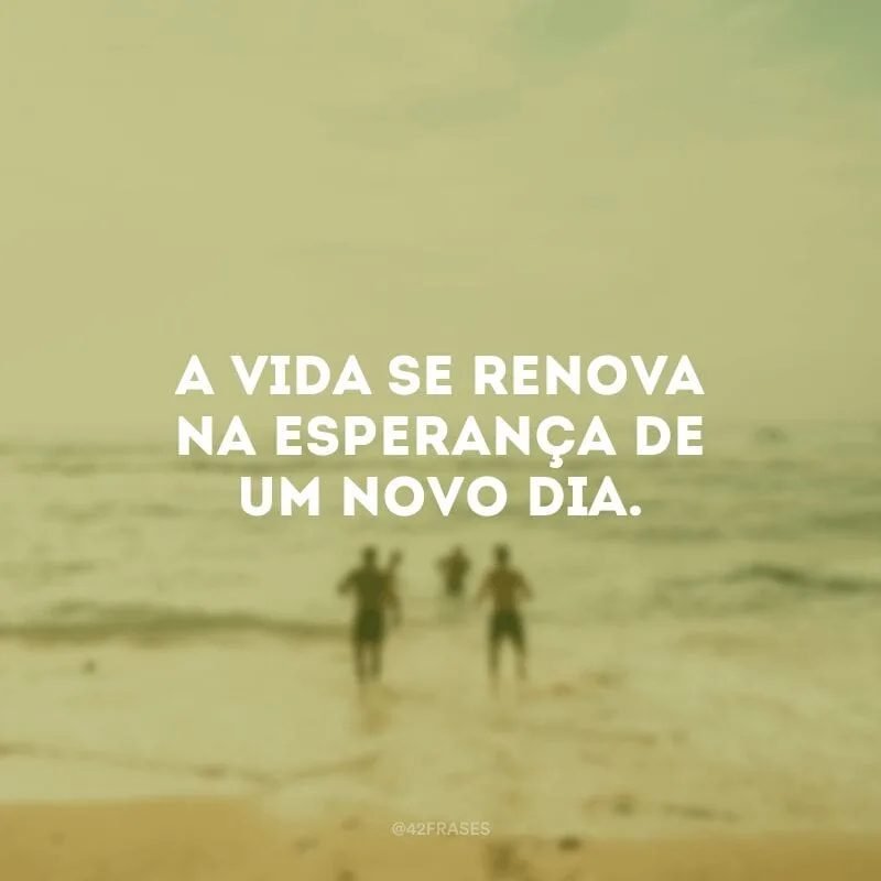A vida se renova na esperança de um novo dia.