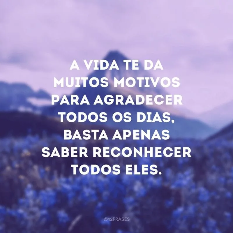 A vida te da muitos motivos para agradecer todos os dias, basta apenas saber reconhecer todos eles.