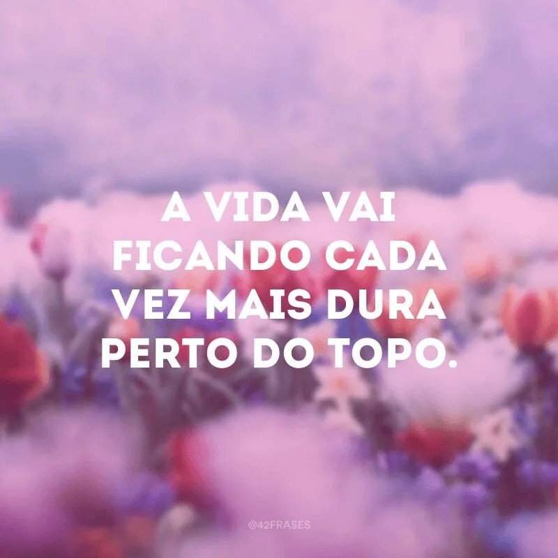 A vida vai ficando cada vez mais dura perto do topo.