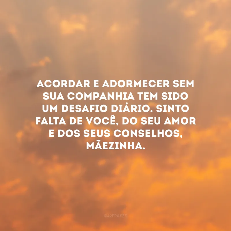 Acordar e adormecer sem sua companhia tem sido um desafio diário. Sinto falta de você, do seu amor e dos seus conselhos, mãezinha.