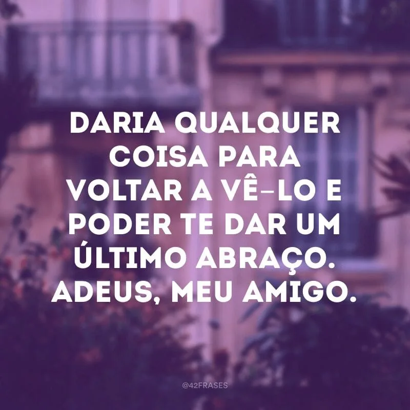 Daria qualquer coisa para voltar a vê-lo e poder te dar um último abraço. Adeus, meu amigo.