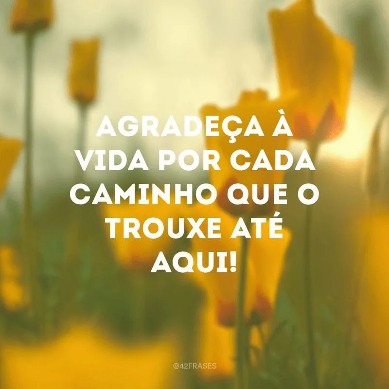 Agradeça à vida por cada caminho que o trouxe até aqui!
