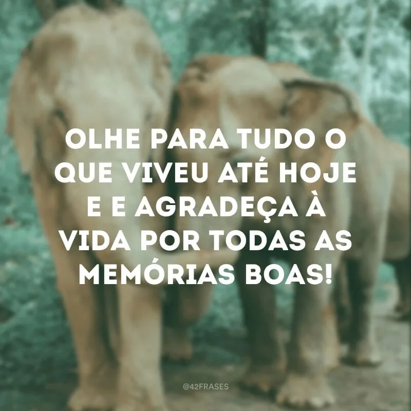 Olhe para tudo o que viveu até hoje e e agradeça à vida por todas as memórias boas!