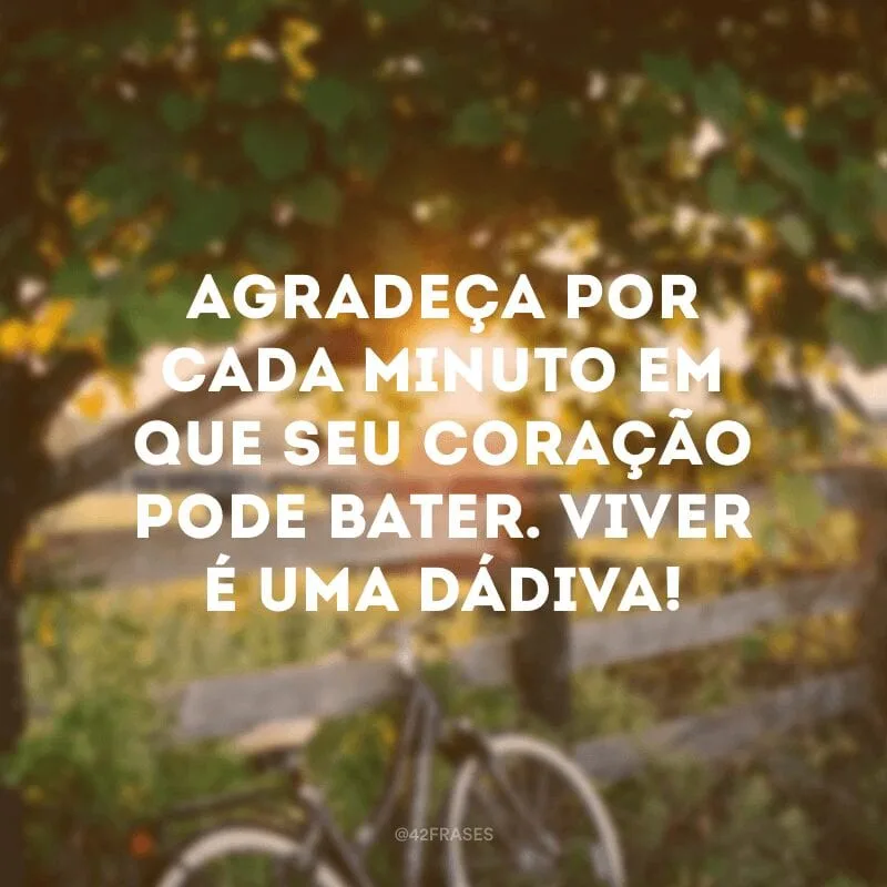Agradeça por cada minuto em que seu coração pode bater. Viver é uma dádiva!
