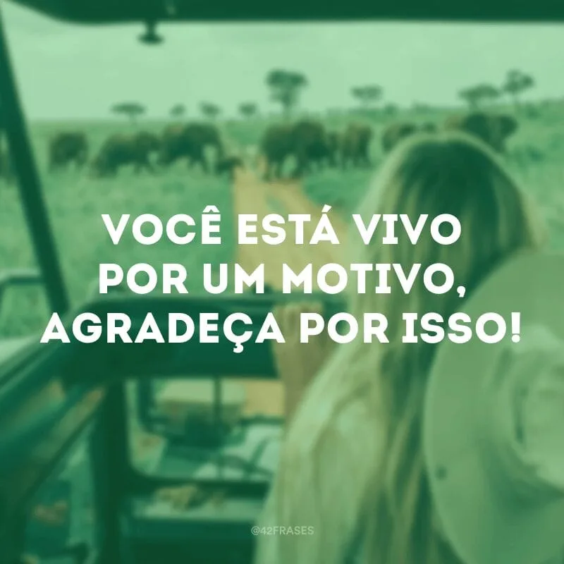 Você está vivo por um motivo, agradeça por isso!