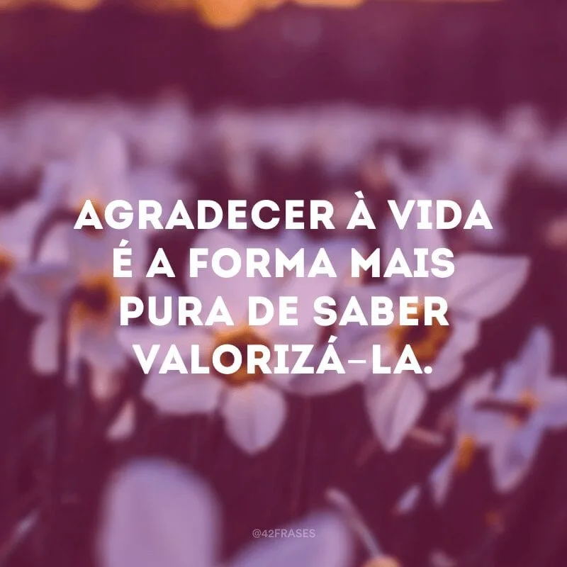 Agradecer à vida é a forma mais pura de saber valorizá-la.