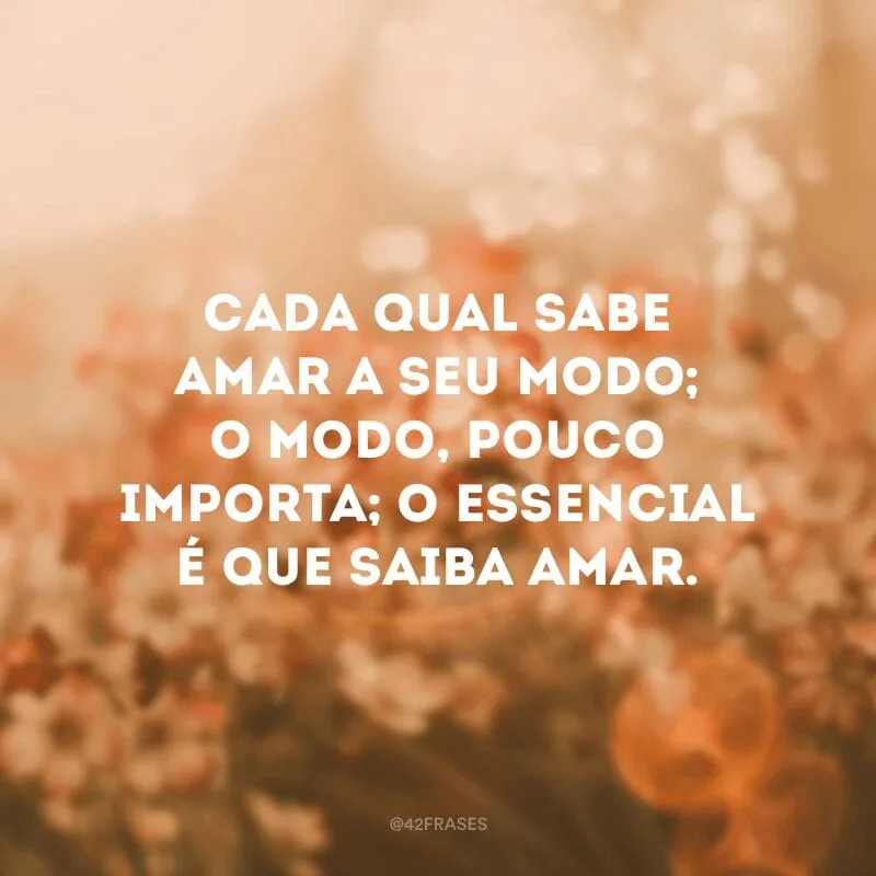 Cada qual sabe amar a seu modo; o modo, pouco importa; o essencial é que saiba amar.