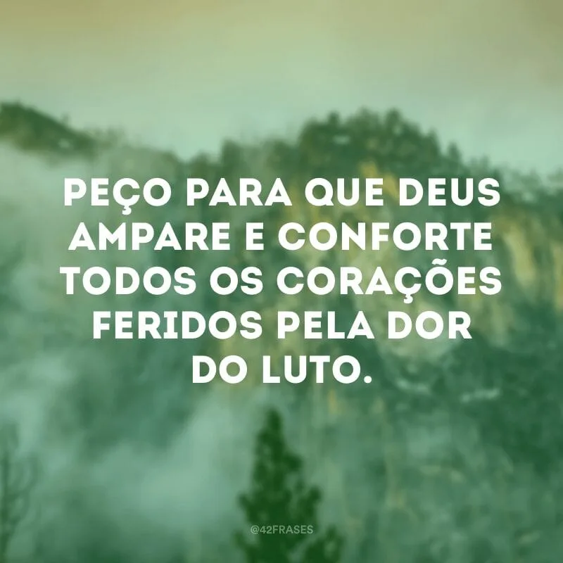 Peço para que Deus ampare e conforte todos os corações feridos pela dor do luto.