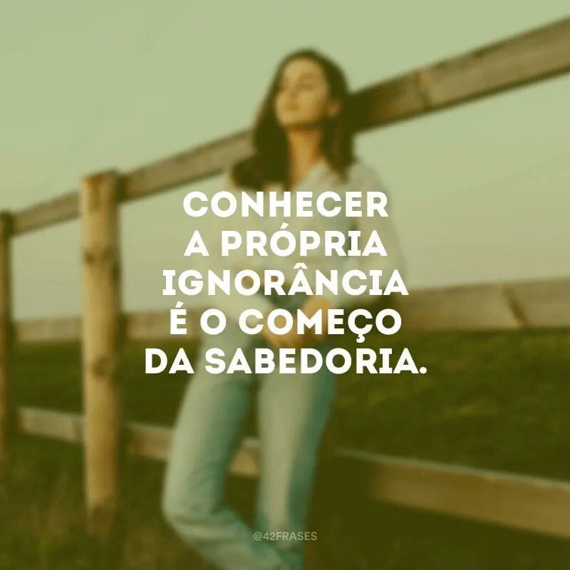 Conhecer a própria ignorância é o começo da sabedoria.