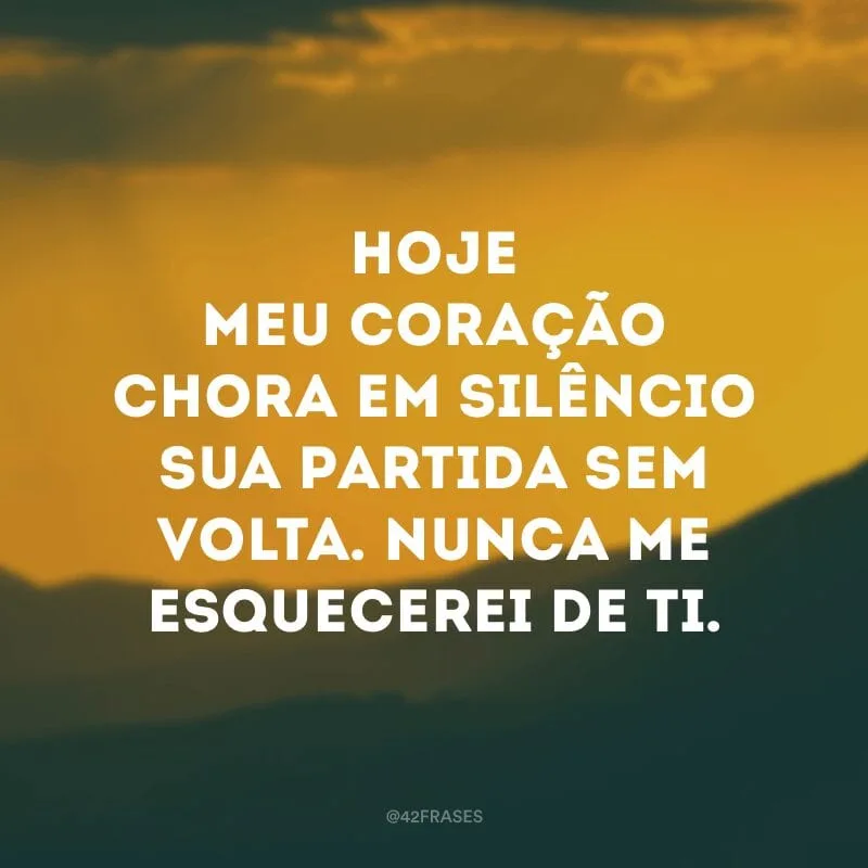 Hoje meu coração chora em silêncio sua partida sem volta. Nunca me esquecerei de ti.
