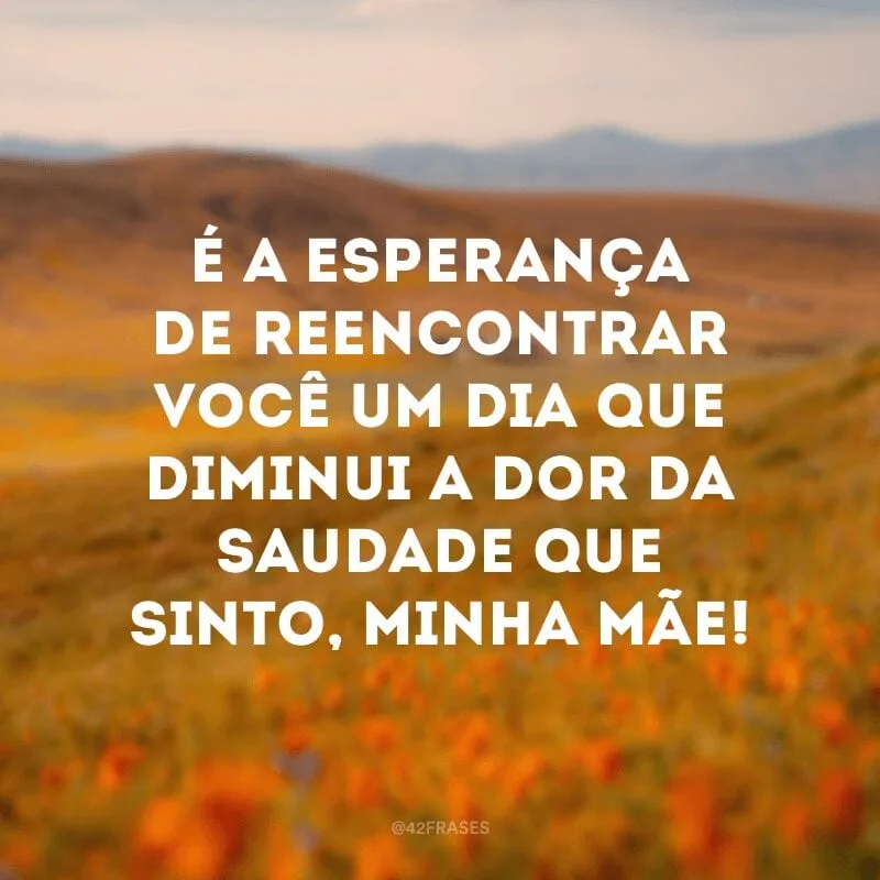 É a esperança de reencontrar você um dia que diminui a dor da saudade que sinto, minha mãe!