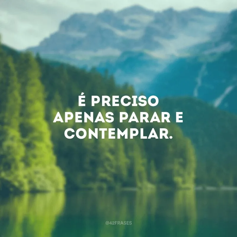 É preciso apenas parar e contemplar.
