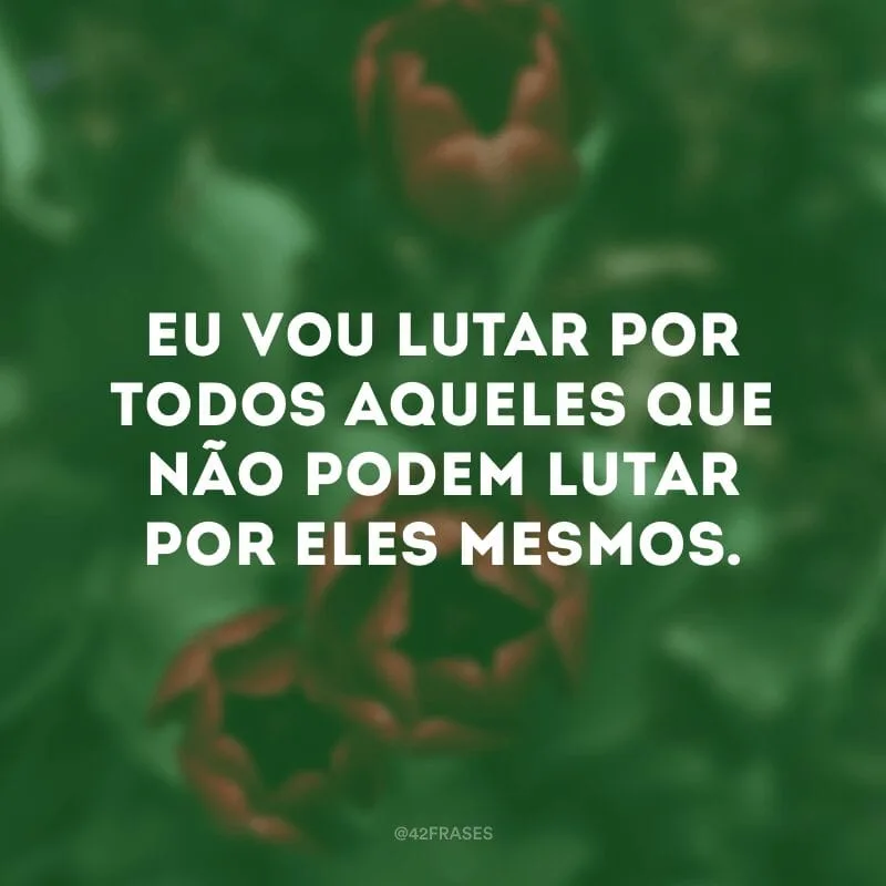 Eu vou lutar por todos aqueles que não podem lutar por eles mesmos.