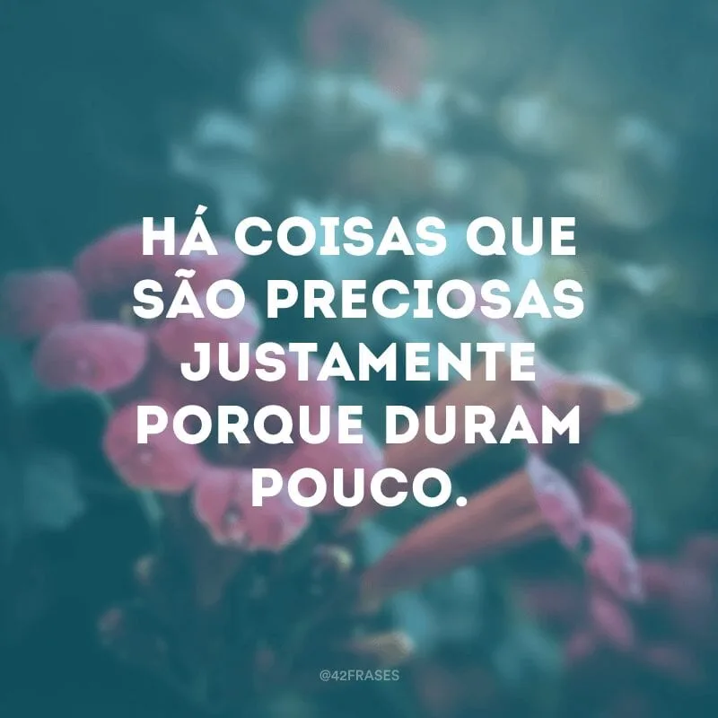 Há coisas que são preciosas justamente porque duram pouco.