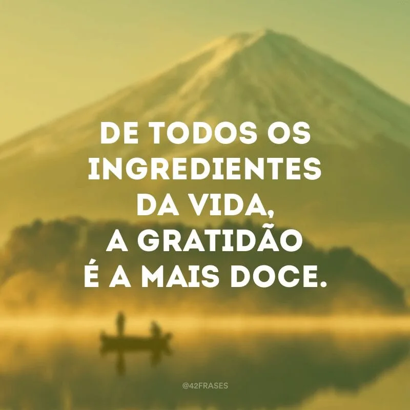 De todos os ingredientes da vida, a gratidão é a mais doce.