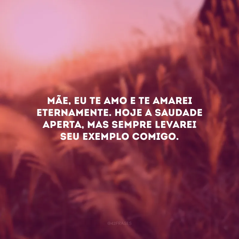 Mãe, eu te amo e te amarei eternamente. Hoje a saudade aperta, mas sempre levarei seu exemplo comigo.