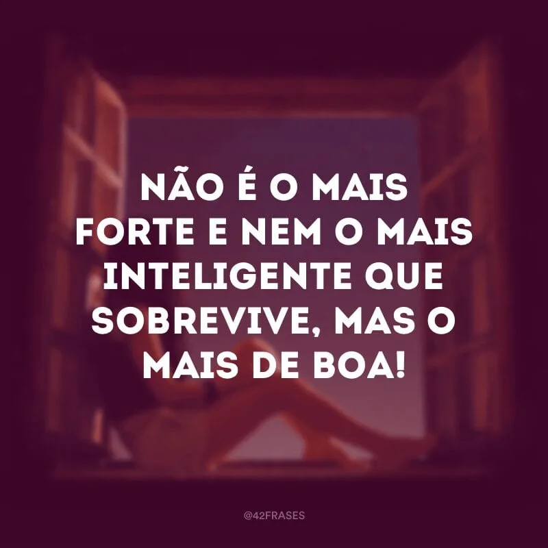 Não é o mais forte e nem o mais inteligente que sobrevive, mas o mais de boa!