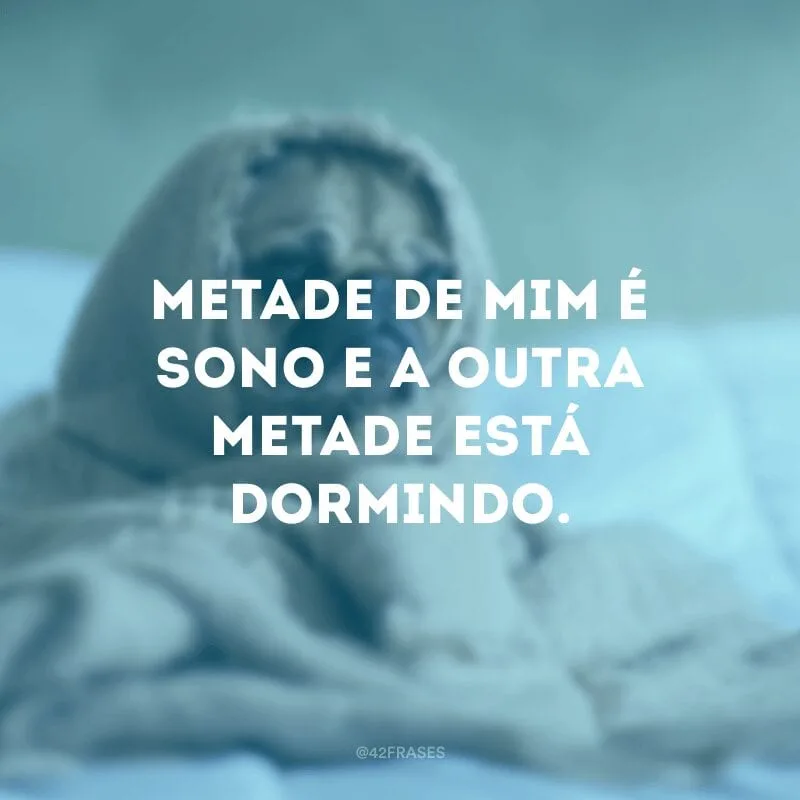 Metade de mim é sono e a outra metade está dormindo.