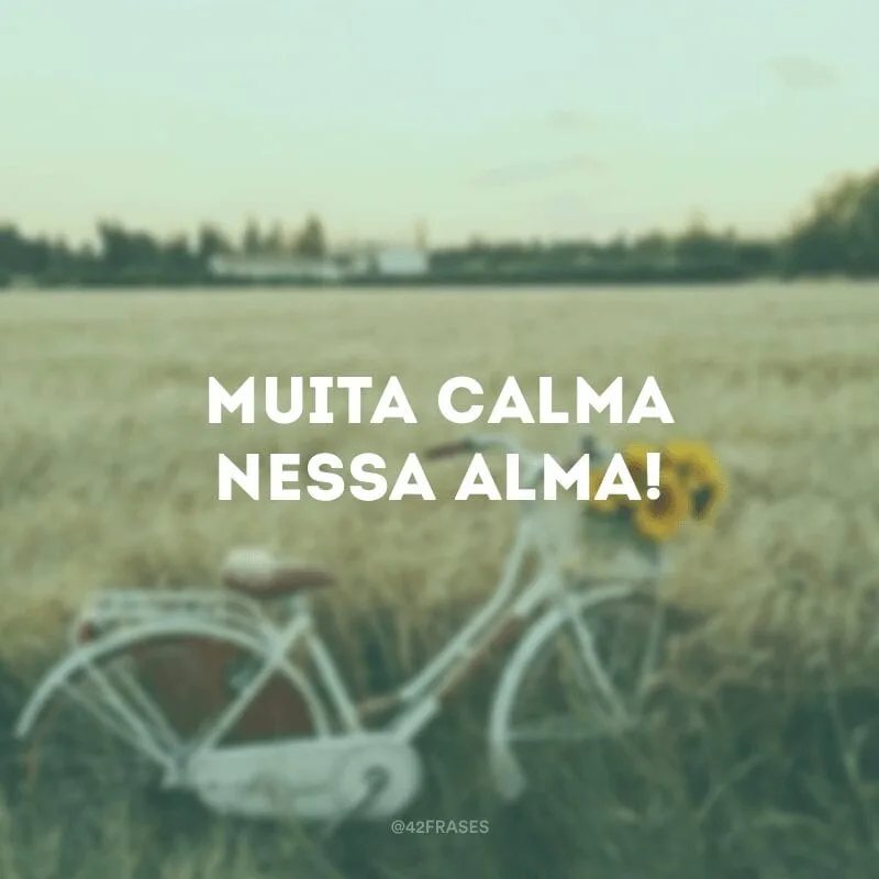 Muita calma nessa alma!