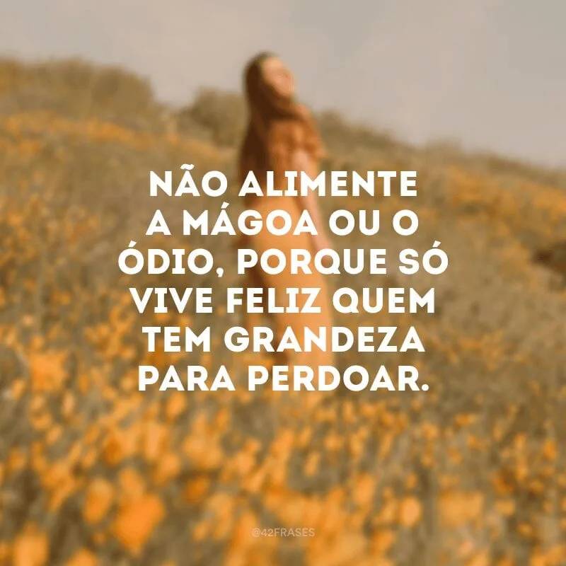 Não alimente a mágoa ou o ódio, porque só vive feliz quem tem grandeza para perdoar.