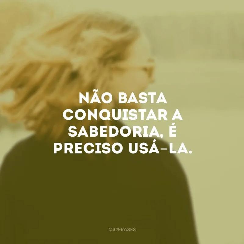 Não basta conquistar a sabedoria, é preciso usá-la.