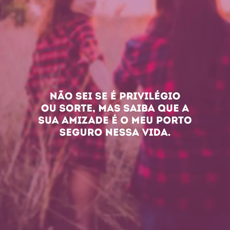 Não sei se é privilégio ou sorte, mas saiba que a sua amizade é o meu porto seguro nessa vida.