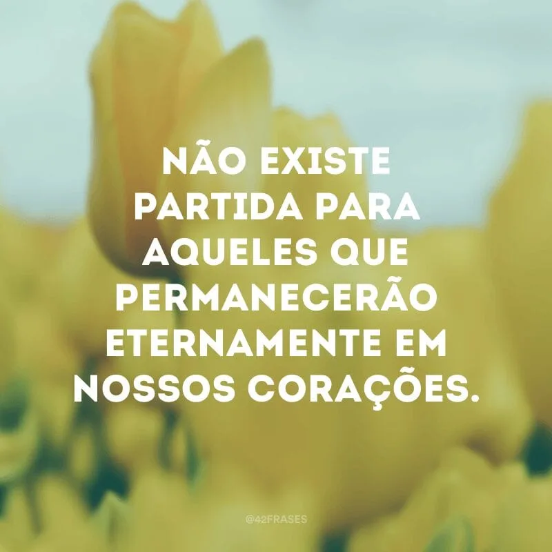 Não existe partida para aqueles que permanecerão eternamente em nossos corações.