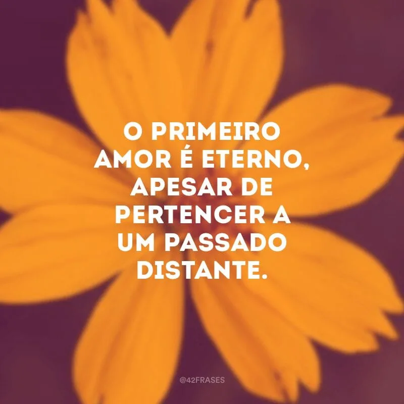 O primeiro amor é eterno, apesar de pertencer a um passado distante. 