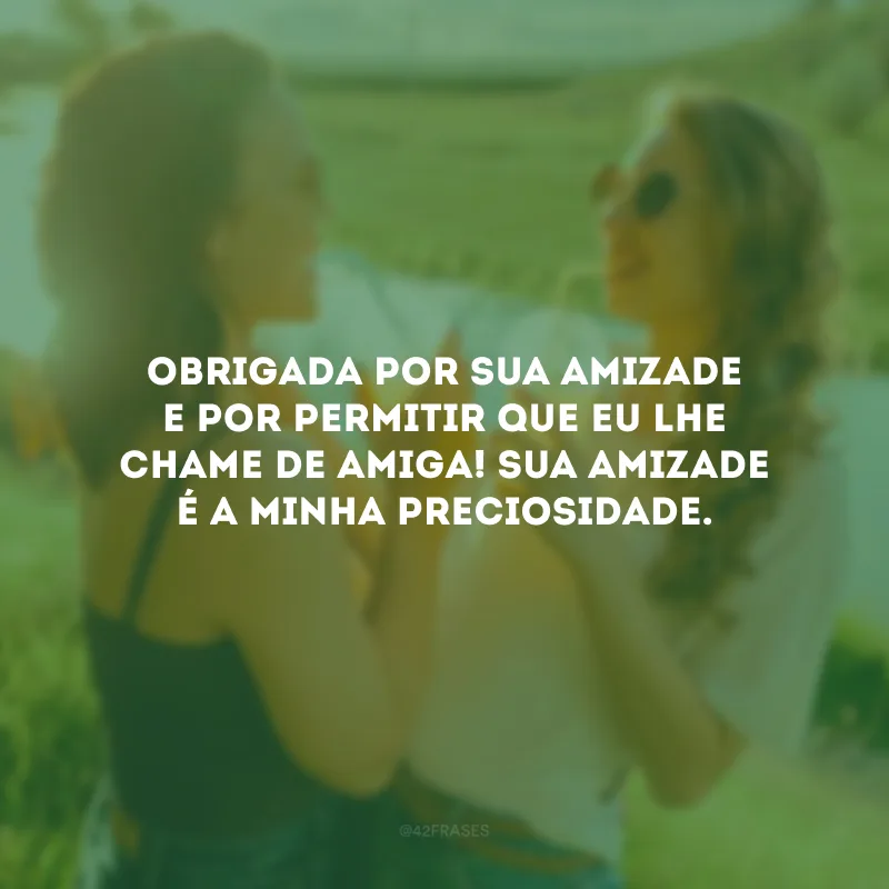 Obrigada por sua amizade e por permitir que eu lhe chame de amiga! Sua amizade é a minha preciosidade.