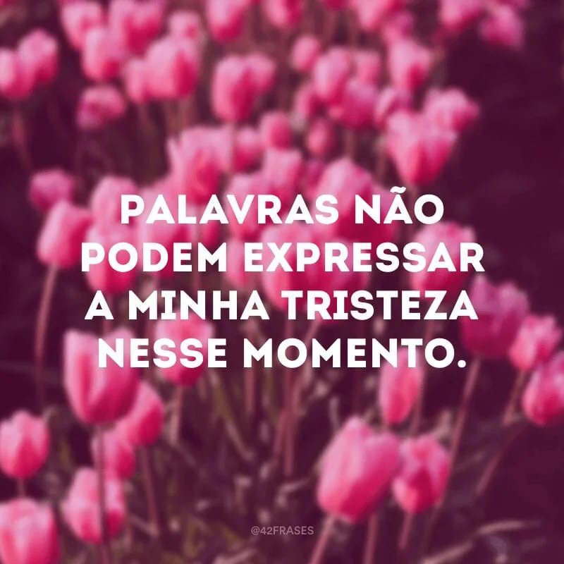 Palavras não podem expressar a minha tristeza nesse momento.
