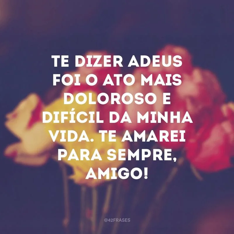 Te dizer adeus foi o ato mais doloroso e difícil da minha vida. Te amarei para sempre, amigo!