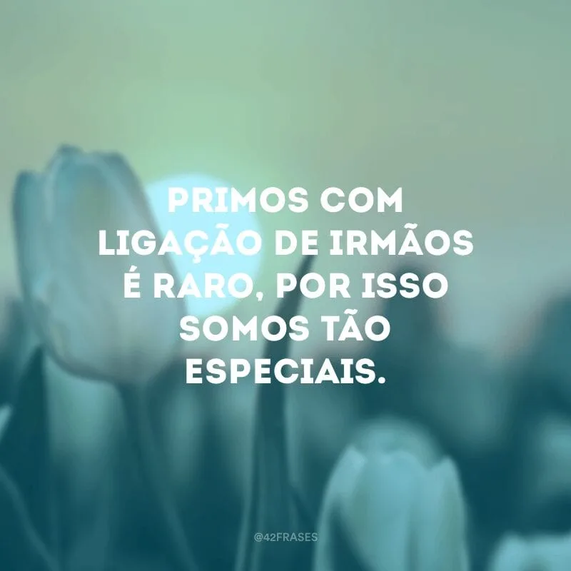 Primos com ligação de irmãos é raro, por isso somos tão especiais.