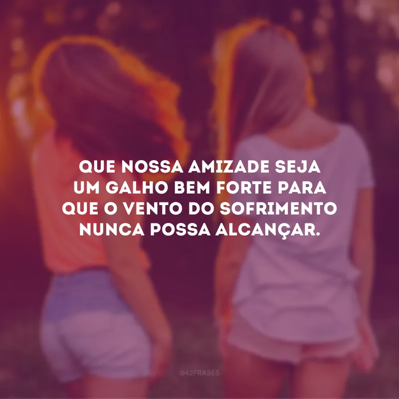 Que nossa amizade seja um galho bem forte para que o vento do sofrimento nunca possa alcançar.